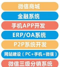 惠州最有实力的软件开发公司 专业网站商城开发