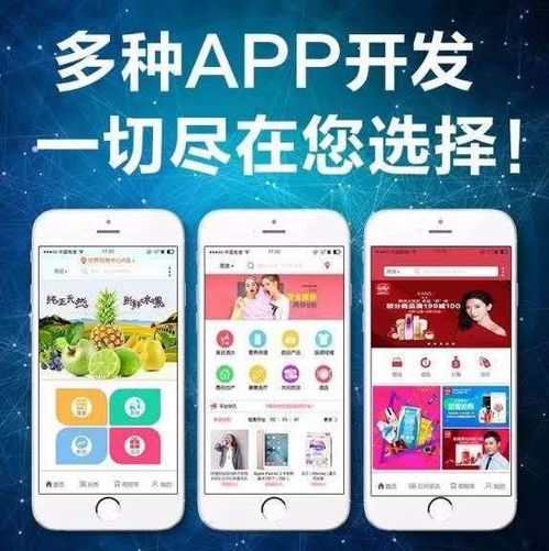 嗨赚系统app定制开发